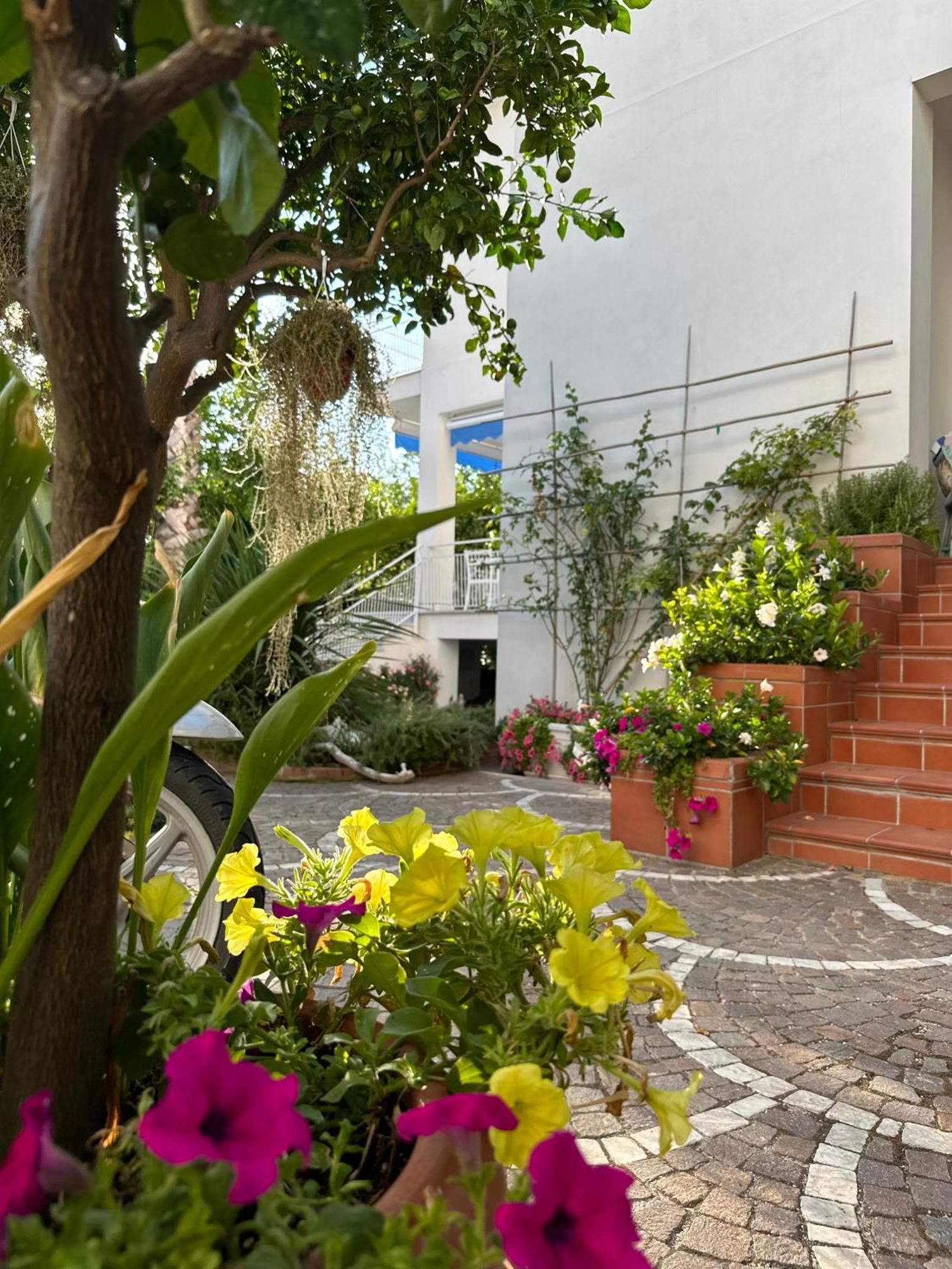 Villa Cettina Boutique Hotel 索伦托 外观 照片