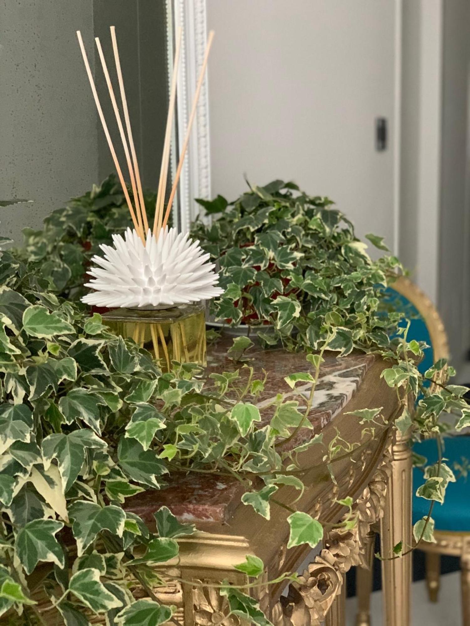 Villa Cettina Boutique Hotel 索伦托 外观 照片