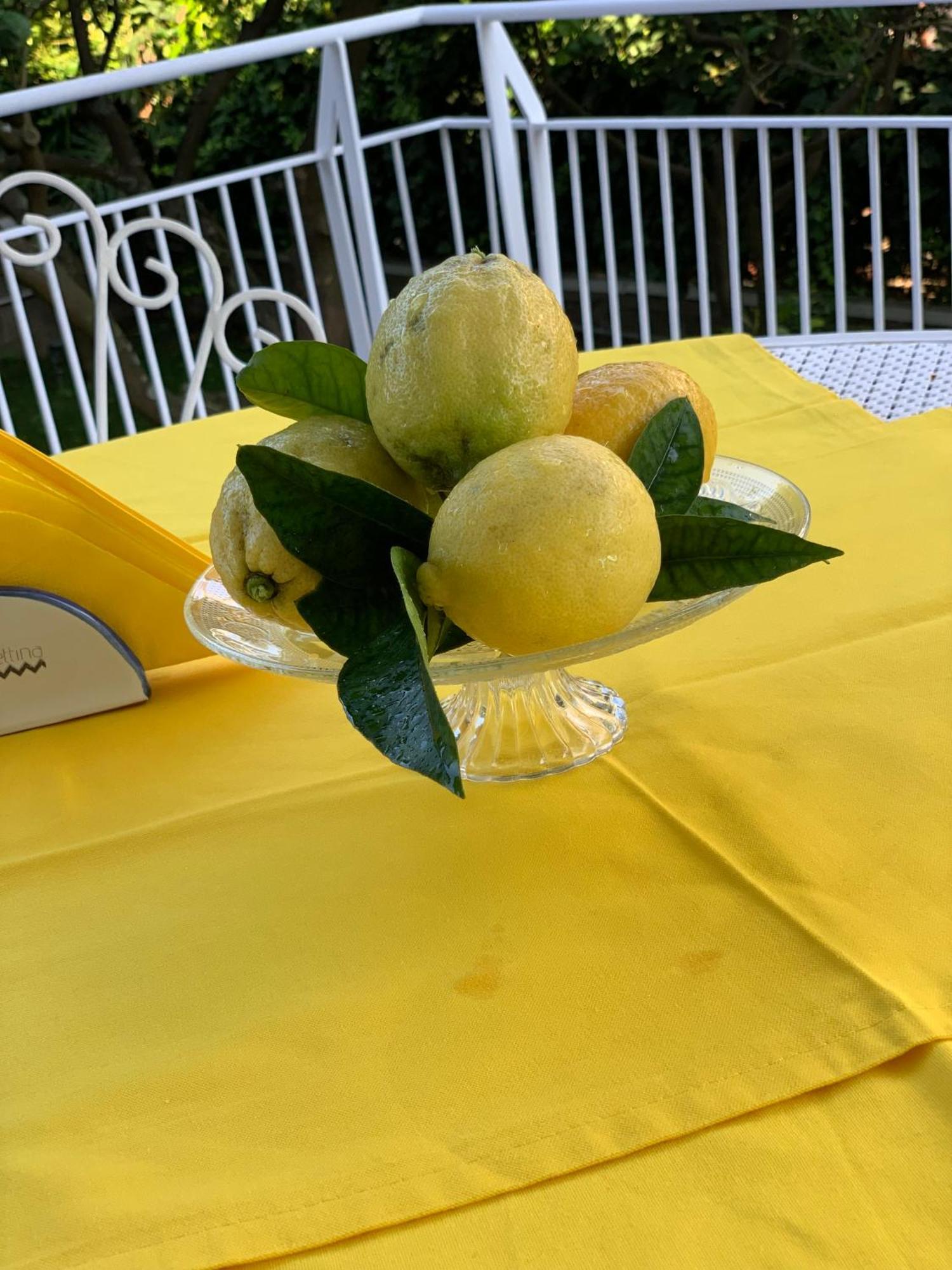 Villa Cettina Boutique Hotel 索伦托 外观 照片